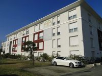 T2 31m²