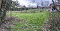Terrain