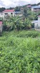 photo de l'annonce I-3520392 Terrain