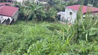 photo de l'annonce I-3520392 Terrain