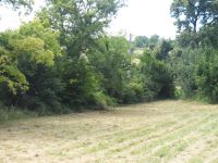 Terrain