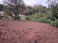 photo de l'annonce I-3526777 Terrain