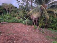 photo de l'annonce I-3526777 Terrain