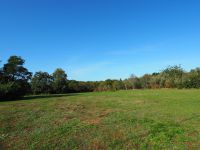 Terrain
