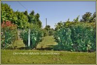 photo de l'annonce I-3543046 Terrain