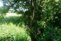 Terrain