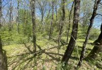 photo de l'annonce I-3554310 Maison / Villa