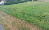 Terrain