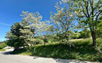 photo de l'annonce I-3543039 Terrain
