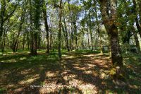 photo de l'annonce I-3559360 Maison / Villa