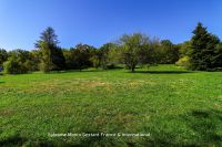 photo de l'annonce I-3559360 Maison / Villa