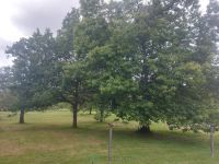 photo de l'annonce I-3559355 Maison / Villa