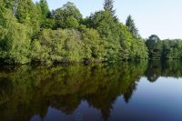 photo de l'annonce I-3560041 Prestige