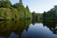 photo de l'annonce I-3560041 Prestige