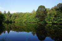 photo de l'annonce I-3560041 Prestige