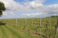 photo de l'annonce I-3558645 Move