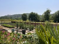 photo de l'annonce I-3559344 Maison / Villa