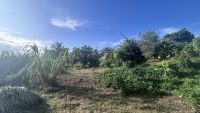 photo de l'annonce I-3543889 Terrain