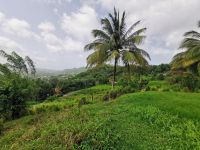 photo de l'annonce I-3525017 Terrain