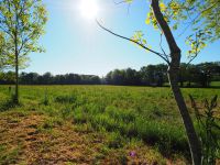 photo de l'annonce I-3558252 Maison / Villa