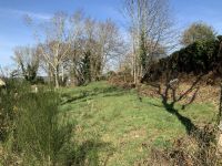 Terrain