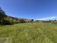 Terrain