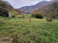 Terrain