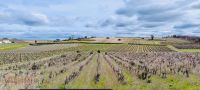 photo de l'annonce I-3519794 Terrain