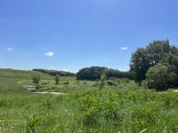 Terrain