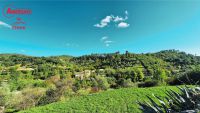 Terrain