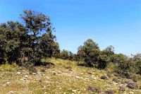 photo de l'annonce I-3553499 Terrain