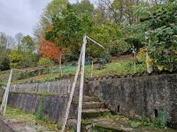 photo de l'annonce I-3553503 Maison / Villa