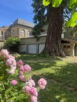 photo de l'annonce I-3531785 Maison / Villa