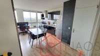 T3 54m²