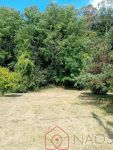 Terrain
