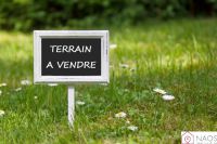 Terrain