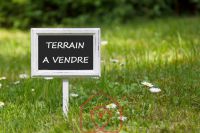 Terrain