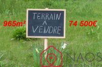 Terrain