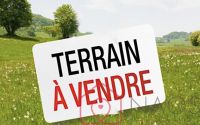 Terrain