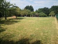 Terrain