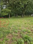 photo de l'annonce I-3548157 Maison / Villa