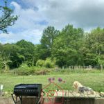 photo de l'annonce I-3552782 Prestige