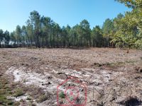photo de l'annonce I-3553020 Terrain