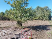 photo de l'annonce I-3553020 Terrain