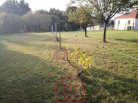 photo de l'annonce I-3553112 Terrain