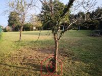 photo de l'annonce I-3553112 Terrain