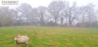 photo de l'annonce I-3520031 Terrain