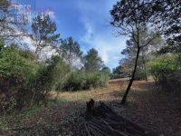 photo de l'annonce I-3511022 Terrain