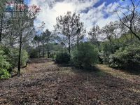 photo de l'annonce I-3511022 Terrain