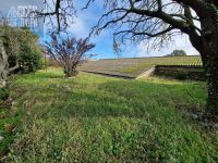 photo de l'annonce I-3538364 Bureau, local commercial